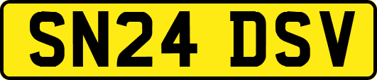 SN24DSV