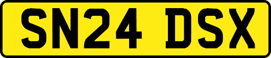 SN24DSX