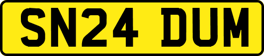SN24DUM