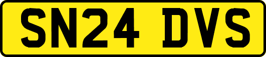 SN24DVS