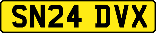 SN24DVX
