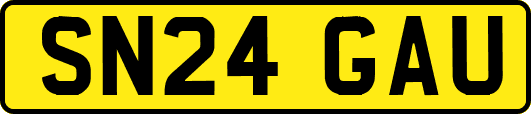 SN24GAU