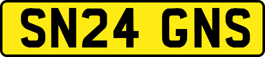 SN24GNS