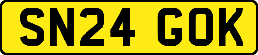 SN24GOK