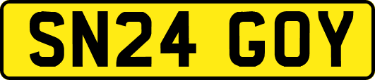 SN24GOY
