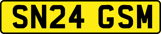 SN24GSM