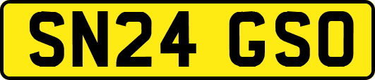 SN24GSO