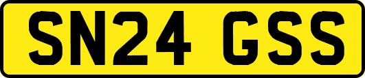 SN24GSS