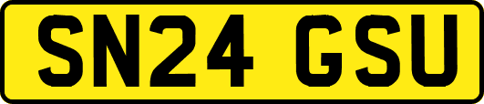 SN24GSU