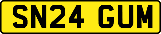 SN24GUM