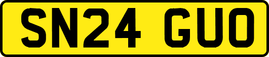SN24GUO
