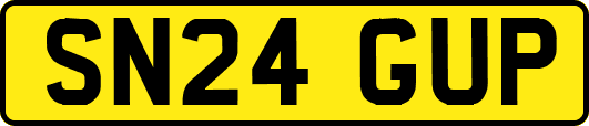 SN24GUP