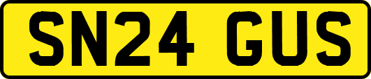 SN24GUS