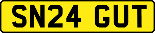 SN24GUT