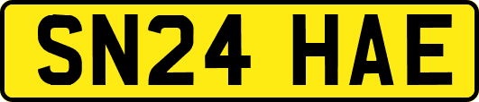 SN24HAE