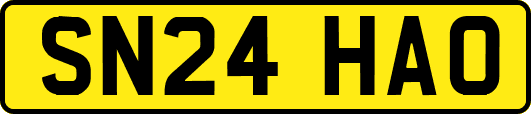 SN24HAO