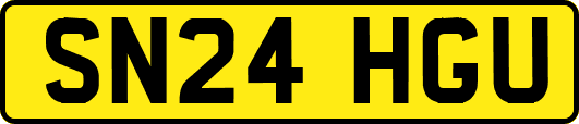 SN24HGU