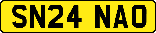 SN24NAO
