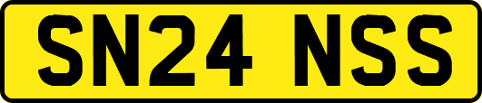 SN24NSS