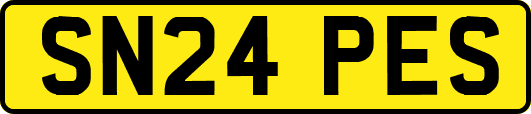 SN24PES