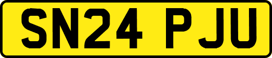 SN24PJU