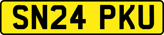 SN24PKU