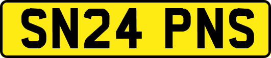 SN24PNS