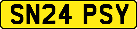 SN24PSY
