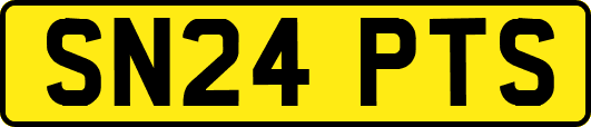 SN24PTS