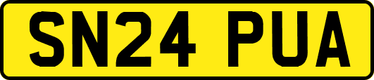 SN24PUA