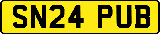 SN24PUB