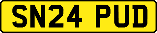 SN24PUD