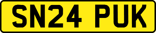 SN24PUK