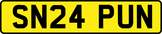 SN24PUN