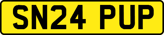 SN24PUP