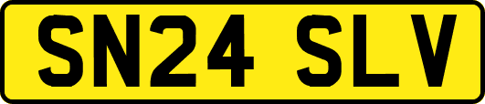 SN24SLV