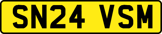 SN24VSM