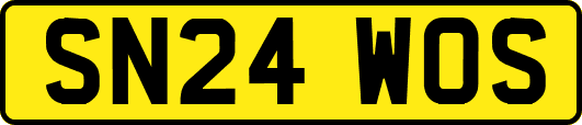 SN24WOS