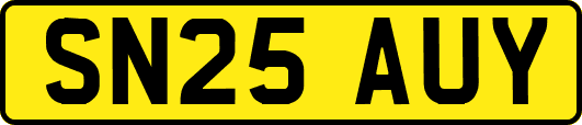SN25AUY