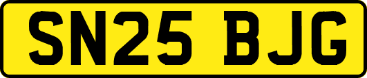SN25BJG