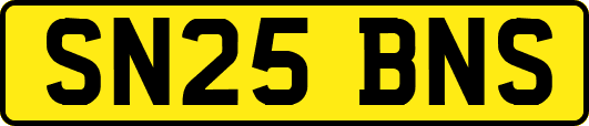 SN25BNS