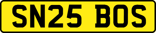 SN25BOS