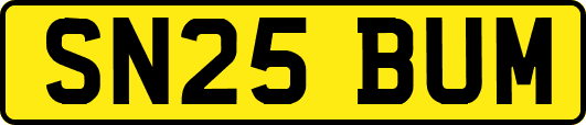 SN25BUM