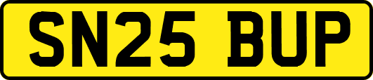 SN25BUP