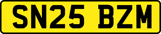 SN25BZM
