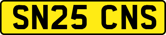SN25CNS