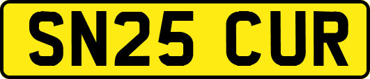 SN25CUR