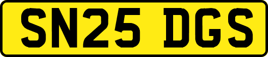 SN25DGS