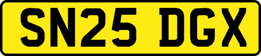 SN25DGX