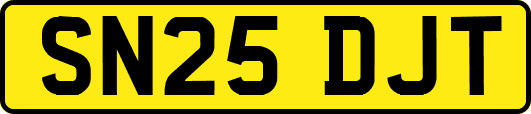 SN25DJT